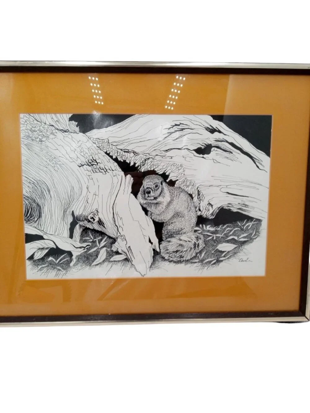 Woodchuck Wall Art Framed Pen And Ink Drawing Print Signed 21 x 16 Cabin Decor